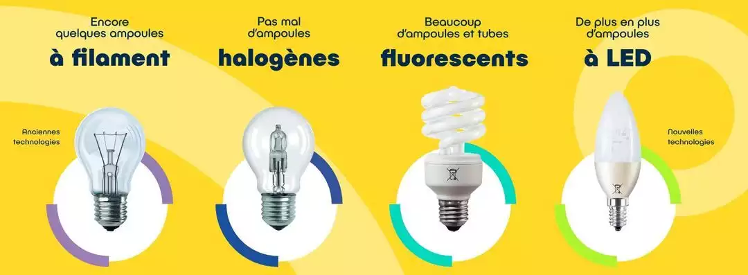 Ampoules dans nos maisons - Ecosystem
