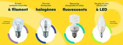 Ampoules dans nos maisons - Ecosystem