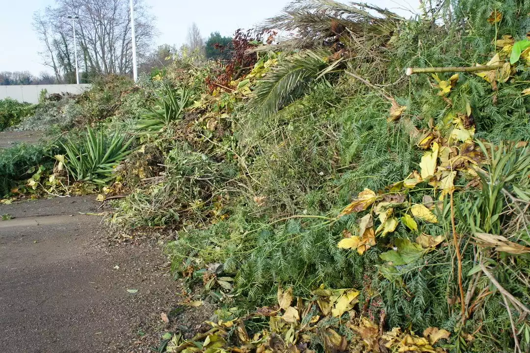 Déchets végétaux - Sydetom66