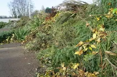 Déchets végétaux - Sydetom66