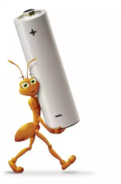 Piles bâton