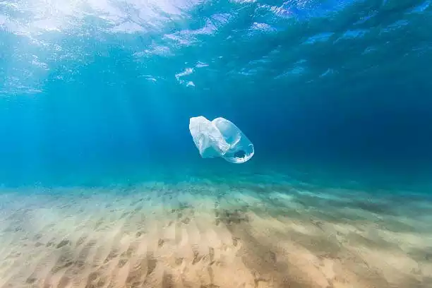 JOURNEE MONDIALE SANS SAC PLASTIQUE