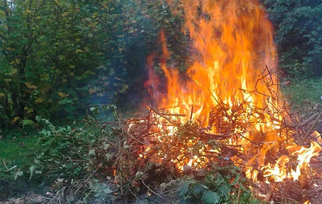 LE BRÛLAGE DES DÉCHETS VERTS